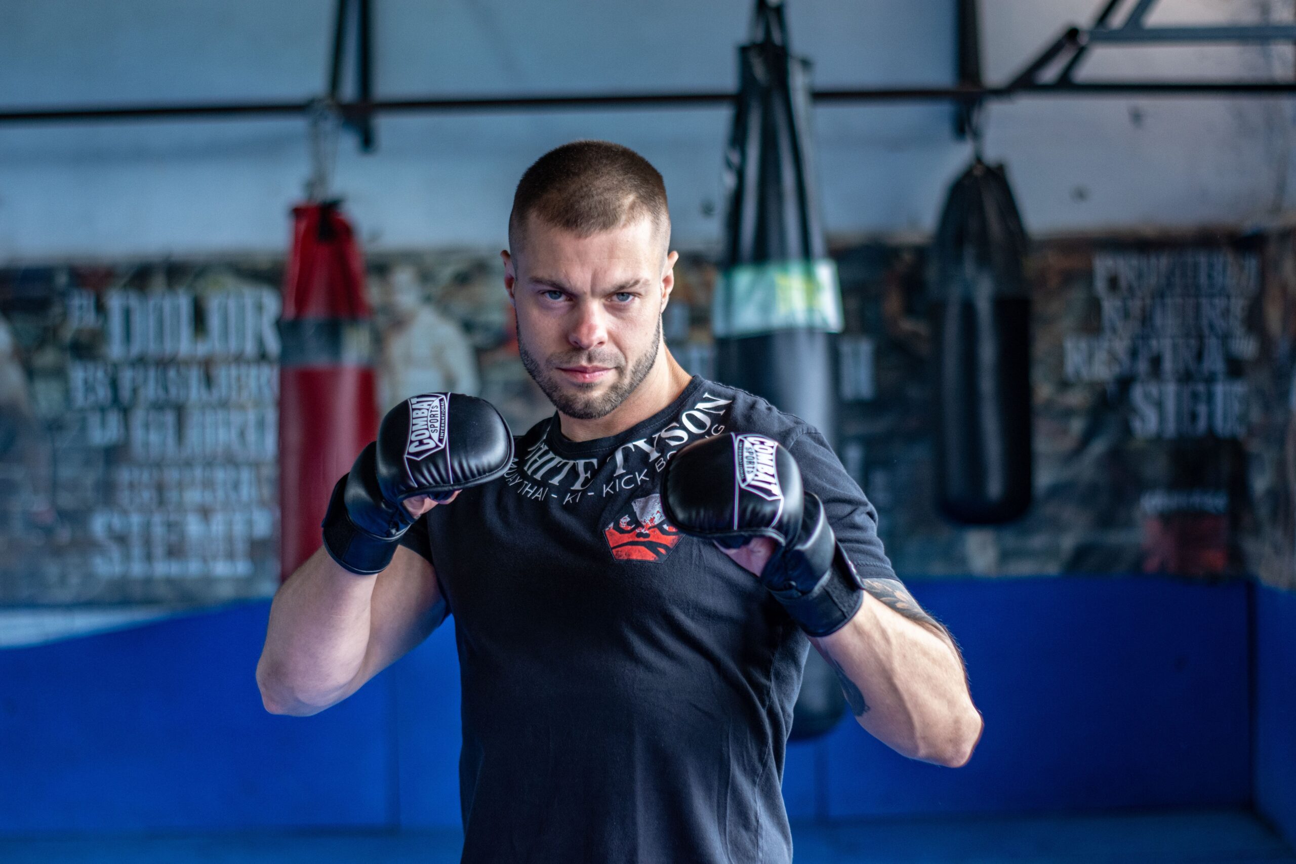 MMA gloves