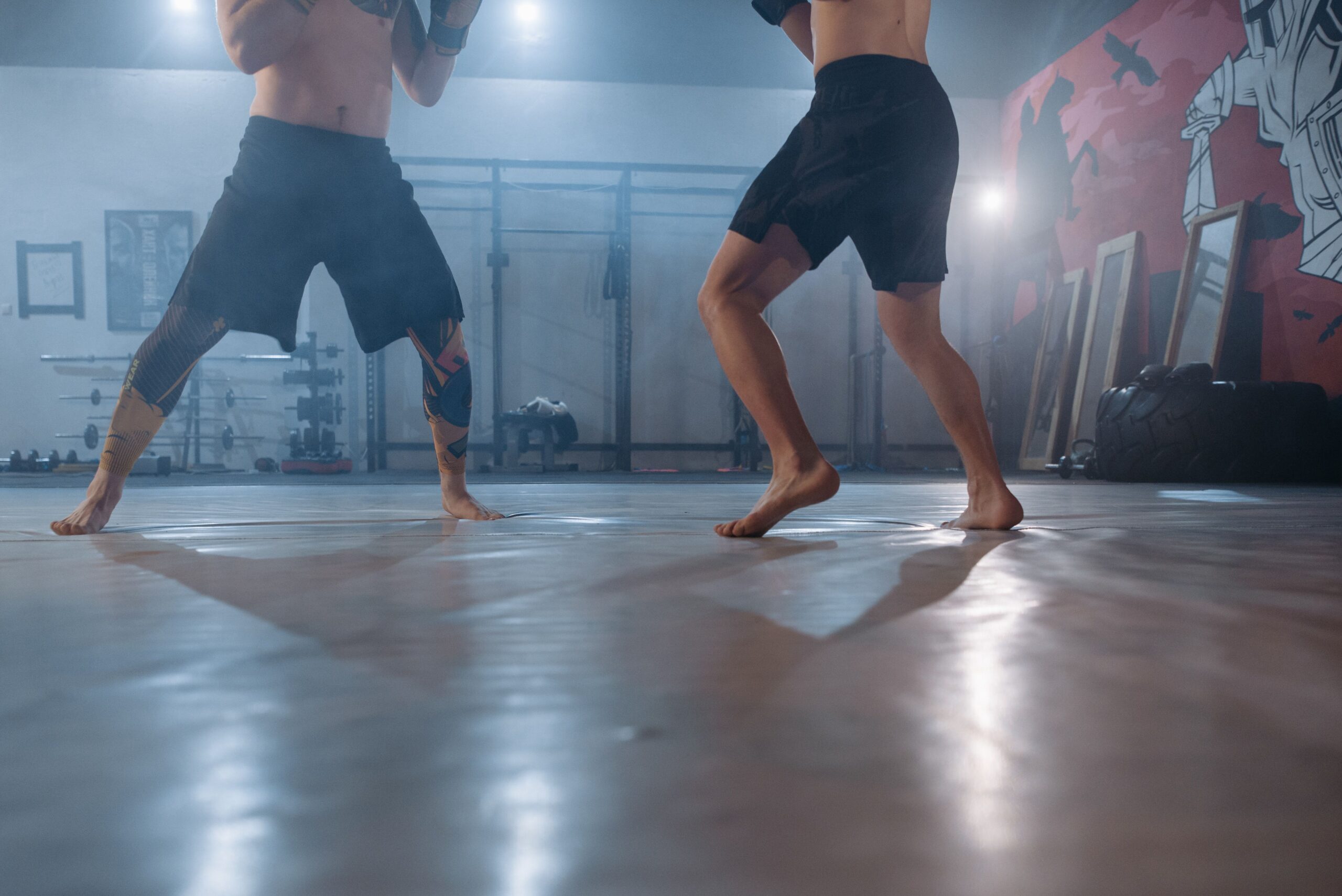 mma gear