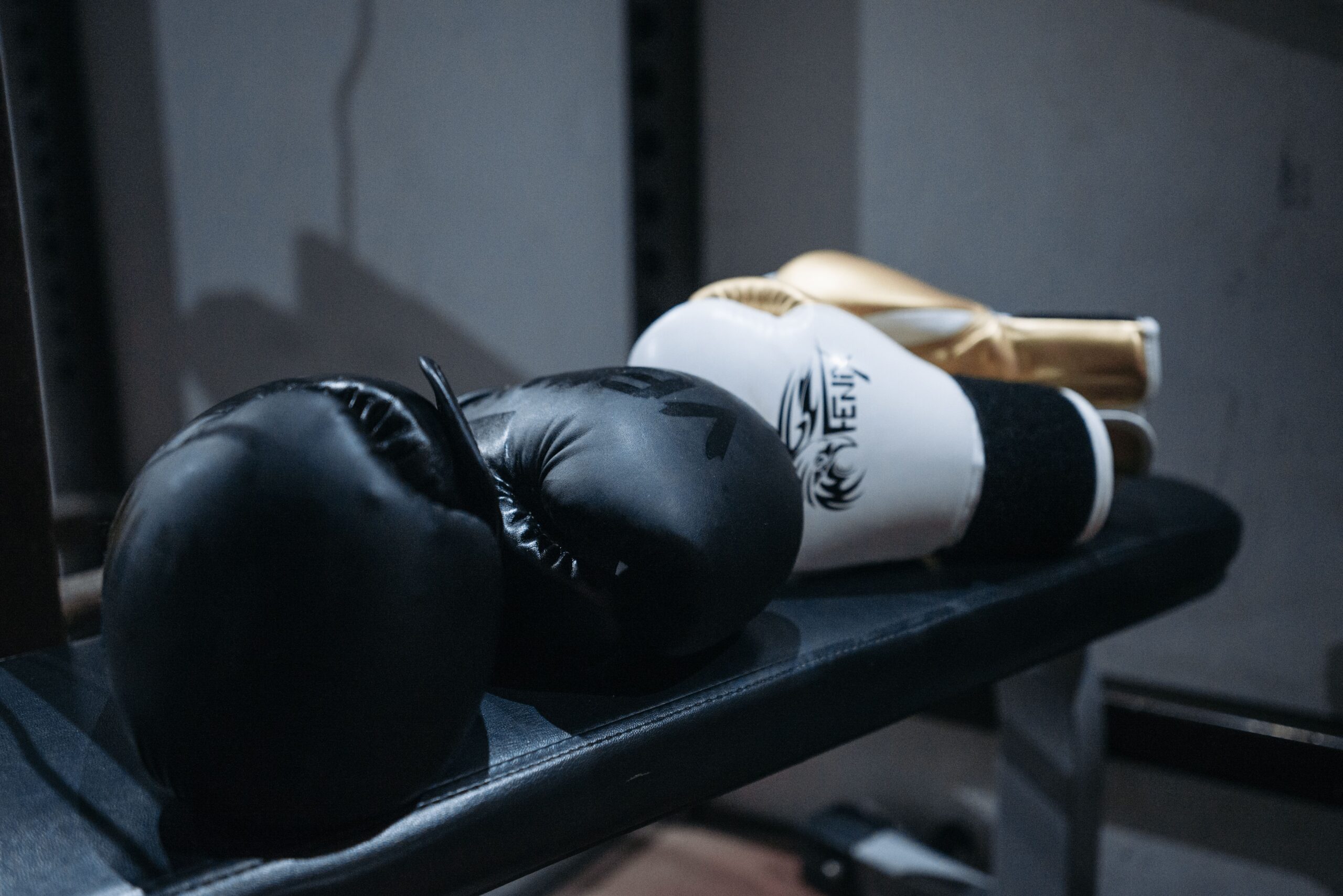 mma gear