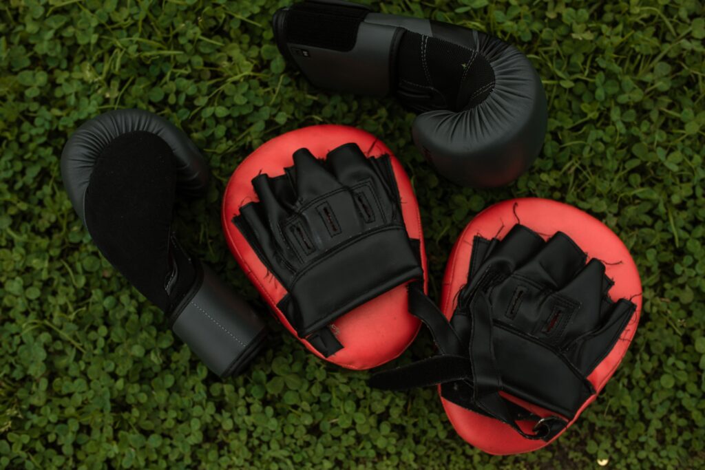 boxing training paddles