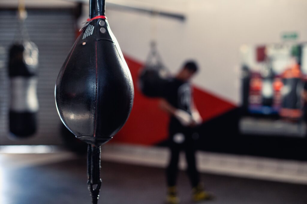 Custom logo heavy bag by punching bags supplier